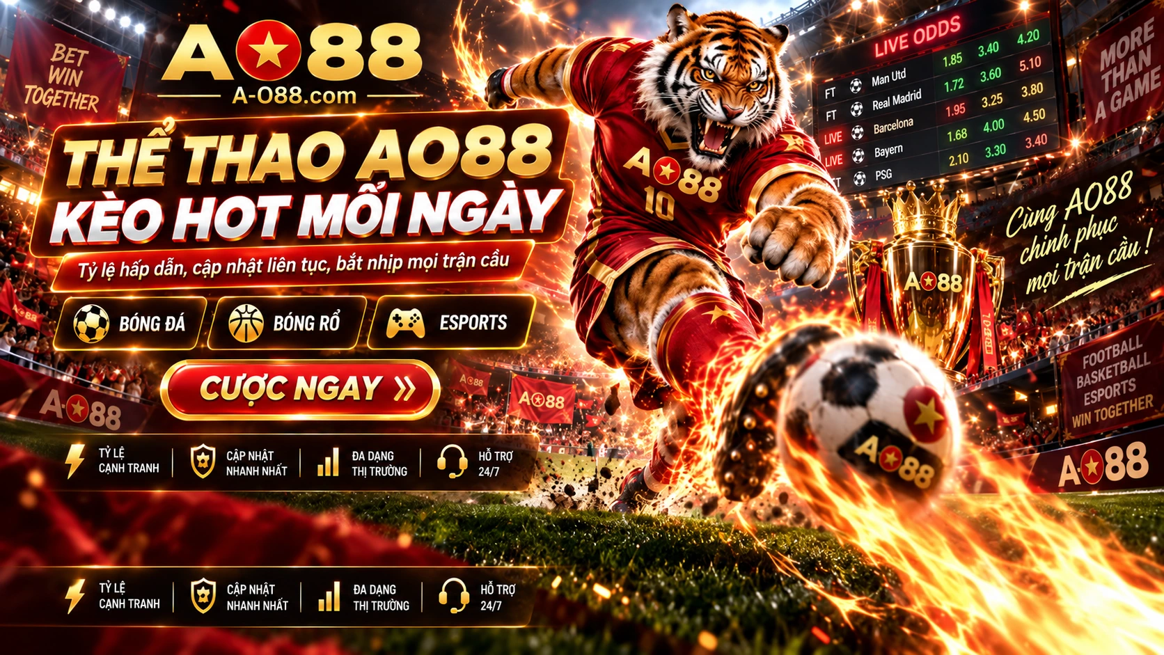 Thể thao AO88